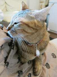 IMG00443.jpg