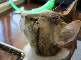 IMG00446.jpg