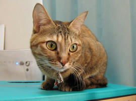 IMG00448.jpg