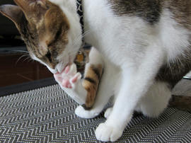 IMG00449.jpg
