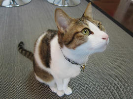 IMG00451.jpg