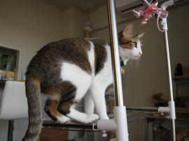 IMG00457.jpg