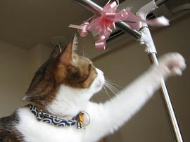 IMG00459.jpg