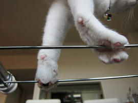 IMG00462.jpg
