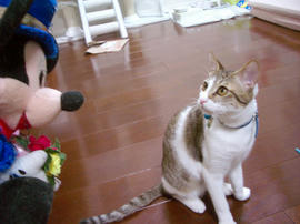 IMGP8955.jpg