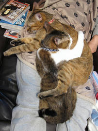 IMG00467.jpg