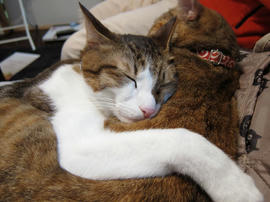 IMG00468.jpg