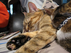 IMG00466.jpg