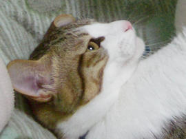 IMGP9051.jpg