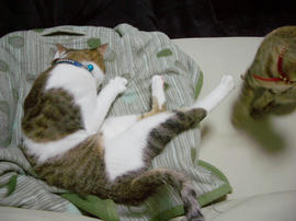 IMGP9054.jpg