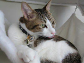 IMG00472.jpg