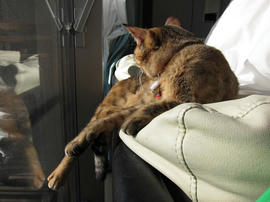 IMG00473.jpg