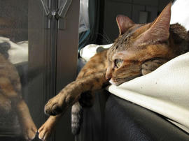 IMG00474.jpg
