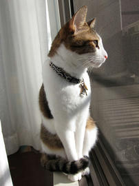 IMG00475.jpg
