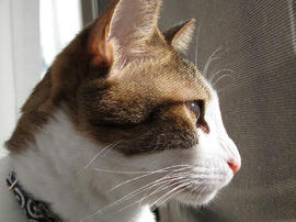 IMG00477.jpg