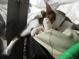 IMG00483.jpg