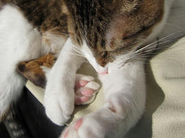 IMG00484.jpg