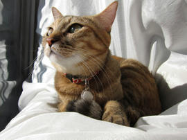 IMG00487.jpg