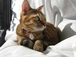 IMG00489.jpg