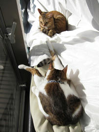IMG00490.jpg