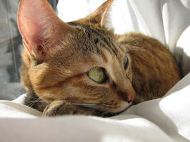 IMG00491.jpg