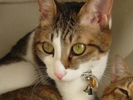IMG00493.jpg