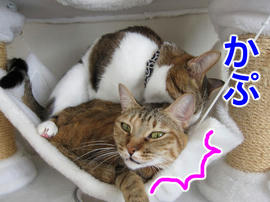 IMG00495.jpg