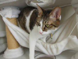 IMG00498.jpg