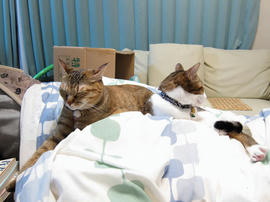 IMG00501.jpg