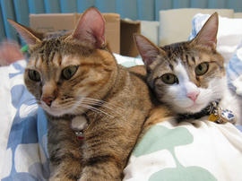 IMG00503.jpg