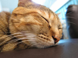 IMG00506.jpg