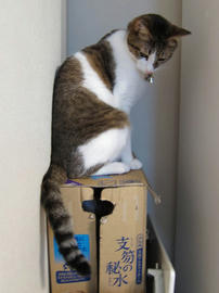 IMG00508.jpg