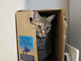IMG00515.jpg