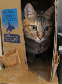 IMG00516.jpg