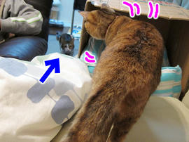 IMG00524.jpg