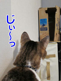 IMG00526.jpg