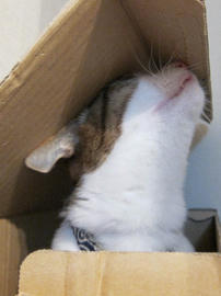 IMG00534.jpg