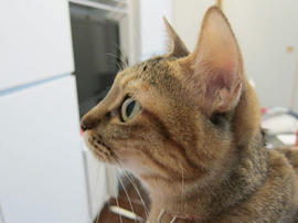 IMG00535.jpg