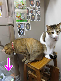 IMG00540.jpg