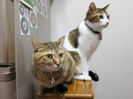 IMG00543.jpg
