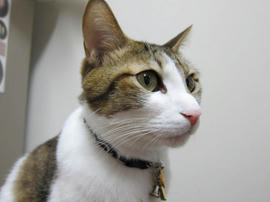 IMG00544.jpg