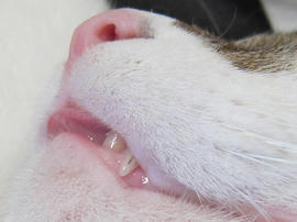 IMG00550.jpg