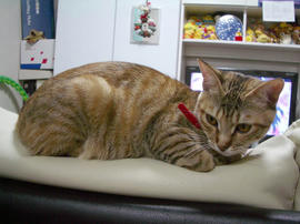 IMGP9095.jpg