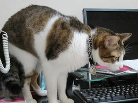 IMG00553.jpg