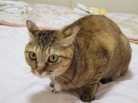IMG00554.jpg