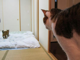 IMG00559.jpg