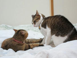IMG00563.jpg