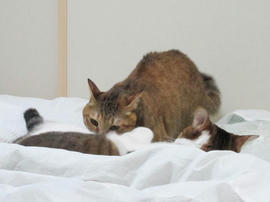 IMG00565.jpg