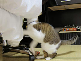 IMG00557.jpg