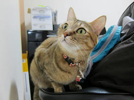 IMG00572.jpg